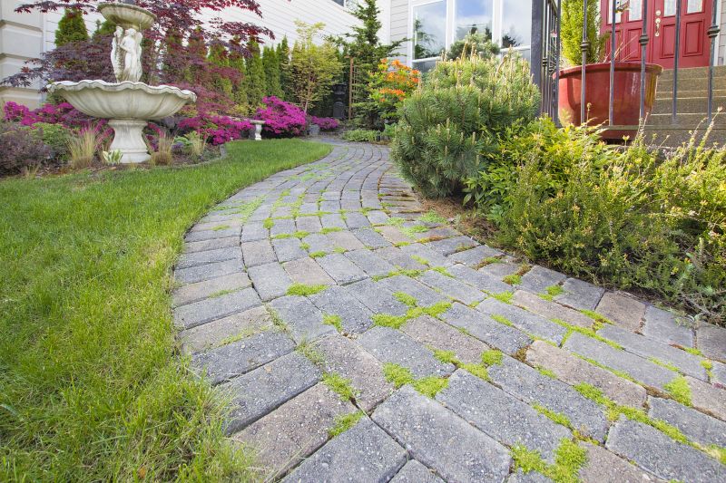 Paver Walkway